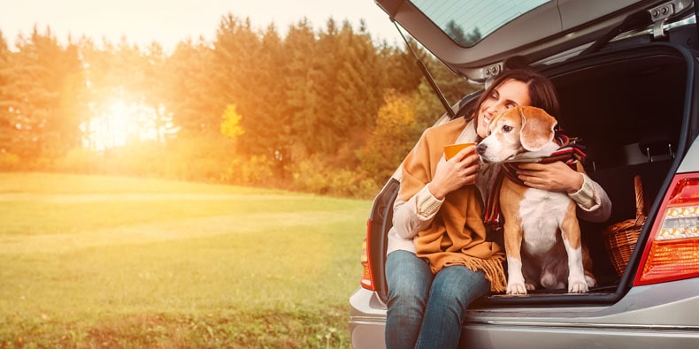 Frau mit Hund im Auto