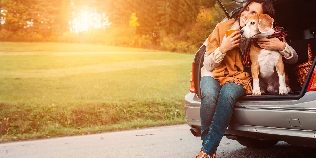 Frau mit Hund im Auto