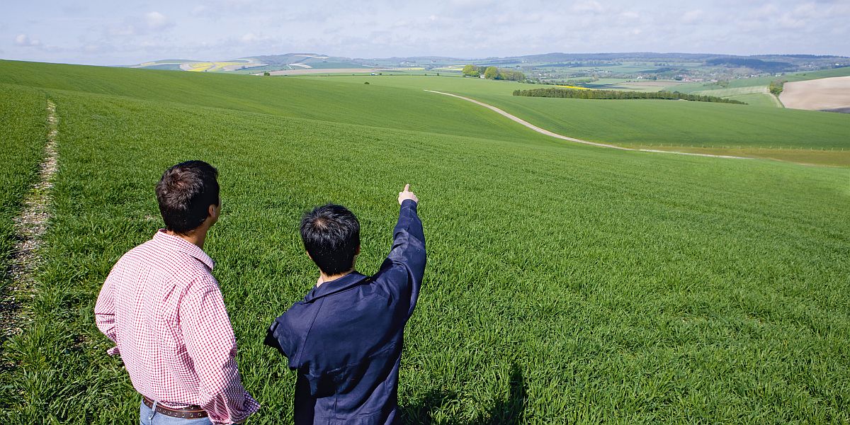 Landwirtschaft